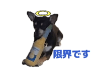 836589330
