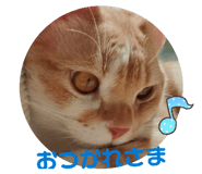 836592686