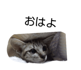 836593745