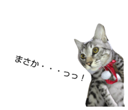 836593748