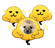 836593817