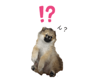 836593824