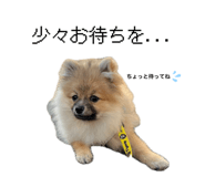 836593830