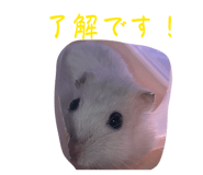 836594129