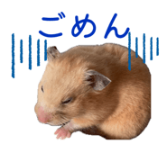 836594133