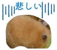 836594144