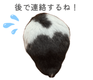 836594149