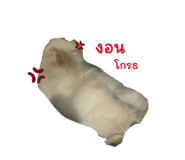 836633494