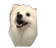836633497