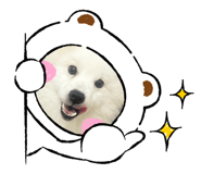836633501