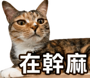 836635947