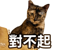 836635964