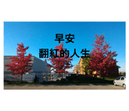 836638061