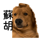 836640195