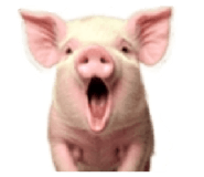 836643003