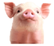 836643004