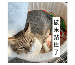 836669879
