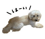 836685553
