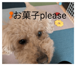 836686869