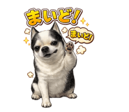 836690258