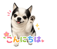 836690285