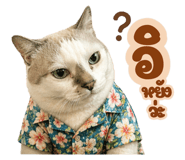 836691262