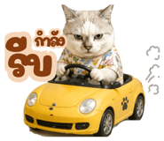 836691266