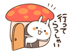 83669955