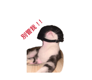 836706281