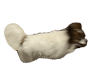 836708255