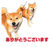 836718177