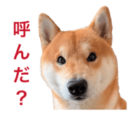 836718178