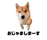 836718179