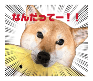 836718180