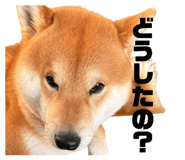 836718184