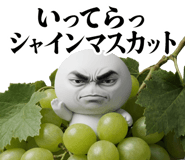 836725466