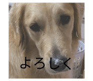 836728100