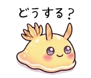 836729204