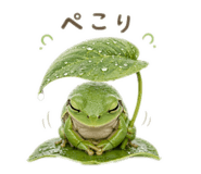 836731378