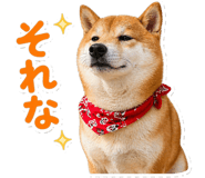 836735213