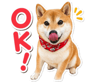 836735216