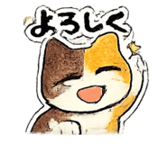 836736556