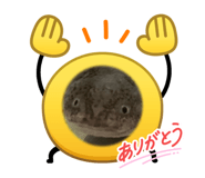836739004