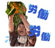 836742343