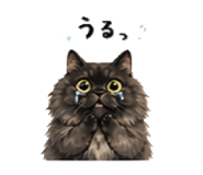 836747120