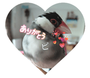 836757905