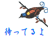 836773427
