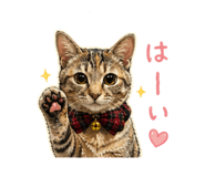 836777425