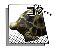 836777605