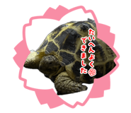 836777609